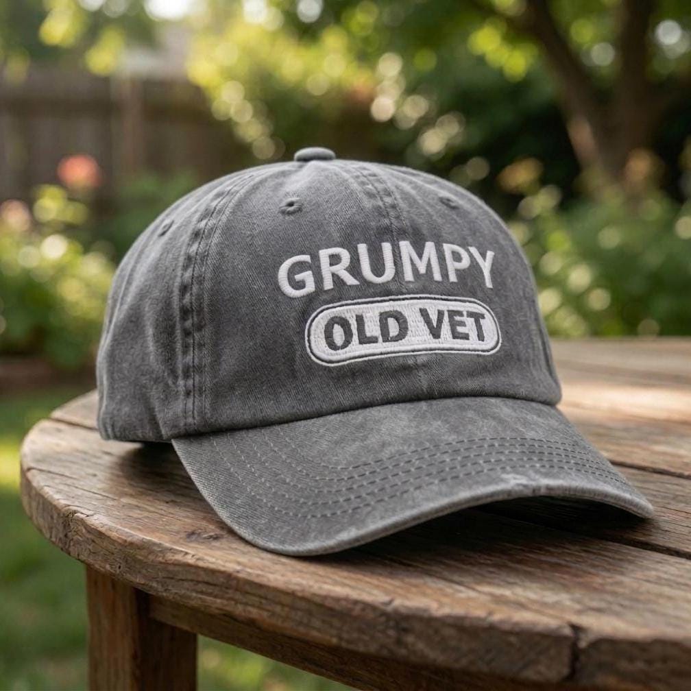 Funny Veteran Embroidered Hat, Vintage Distressed Cotton Dad Cap, Veteran Appreciation Gift