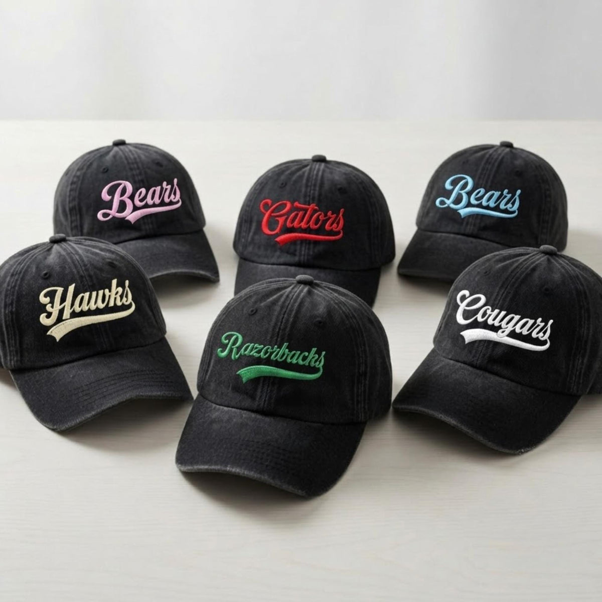 Personalized School Mascot Embroidered Hat, Custom Team Logo Baseball Cap, School Spirit Gift