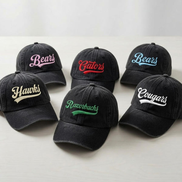 Personalized School Mascot Embroidered Hat, Custom Team Logo Baseball Cap, School Spirit Gift