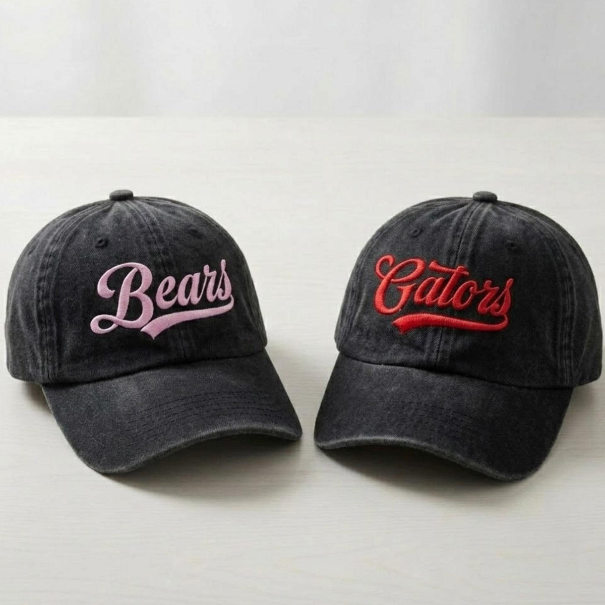 Personalized School Mascot Embroidered Hat, Custom Team Logo Baseball Cap, School Spirit Gift