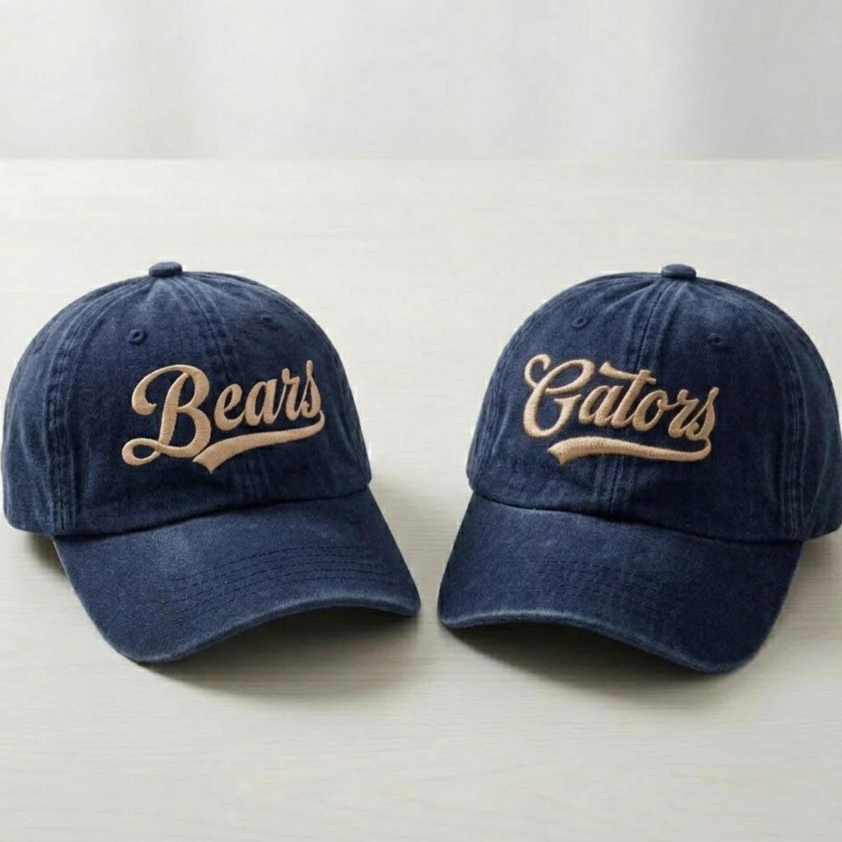 Personalized School Mascot Embroidered Hat, Custom Team Logo Baseball Cap, School Spirit Gift