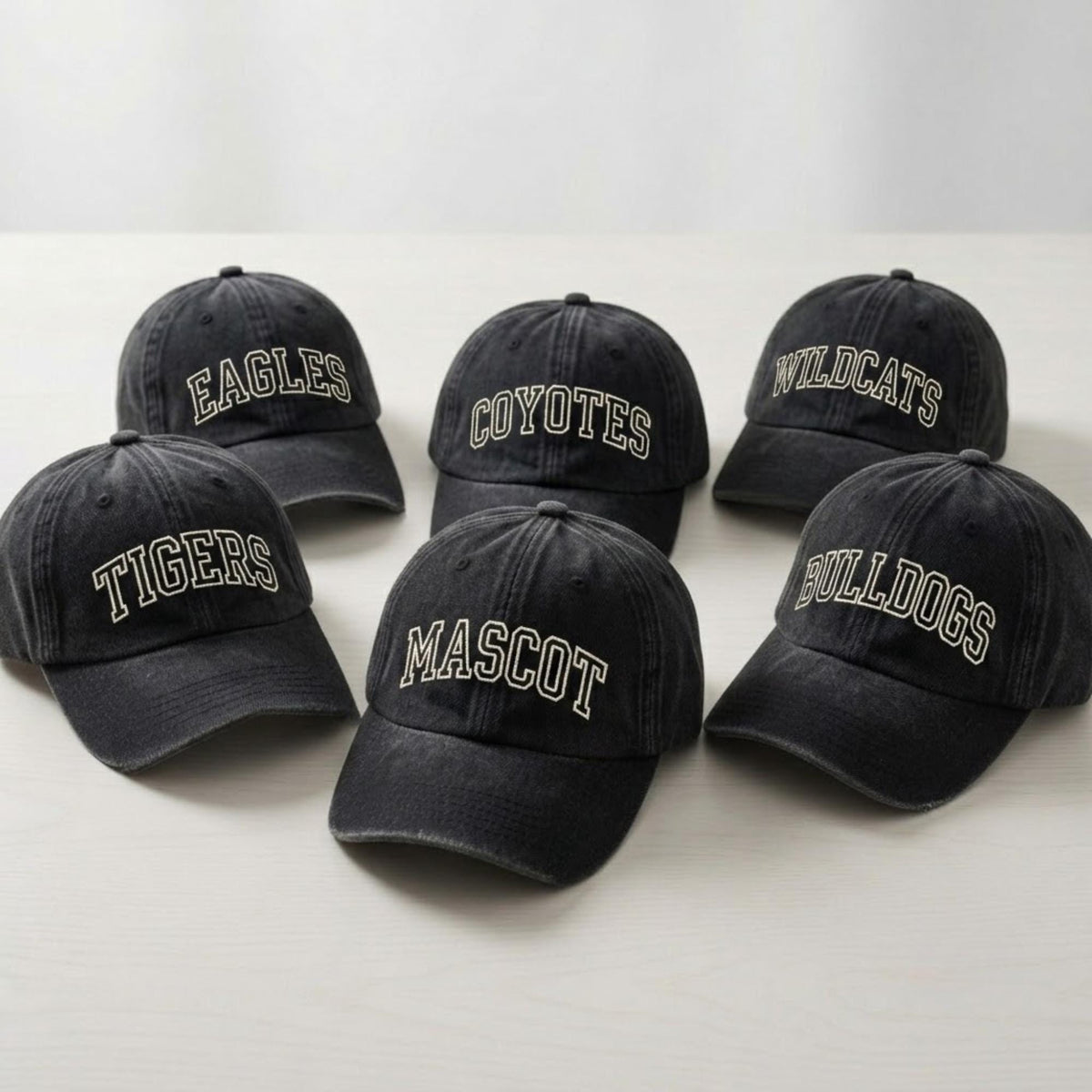 Custom Embroidered Baseball Cap, Personalized School Mascot Logo Hat