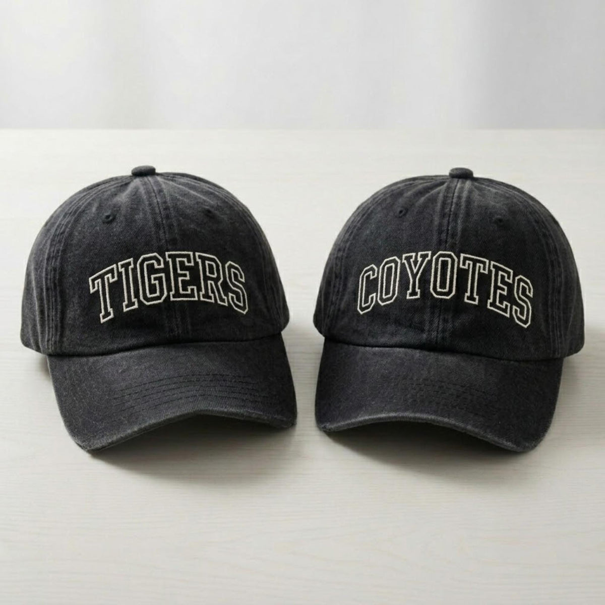 Custom Embroidered Baseball Cap, Personalized School Mascot Logo Hat