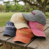 Custom Team Mascot Hat | Vintage Cap | Personalized School Spirit Baseball Hat | Embroidered Team Name Cap | Custom Gift