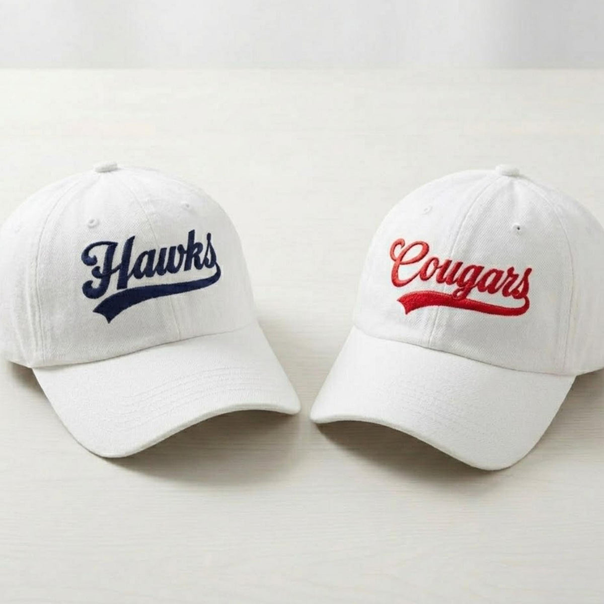 Personalized School Mascot Embroidered Hat, Custom Team Logo Baseball Cap, School Spirit Gift