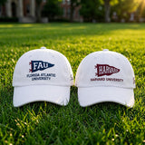 Personalized College Embroidered Hat, Custom School Name Baseball Cap, Class of 2026 Graduation Gift