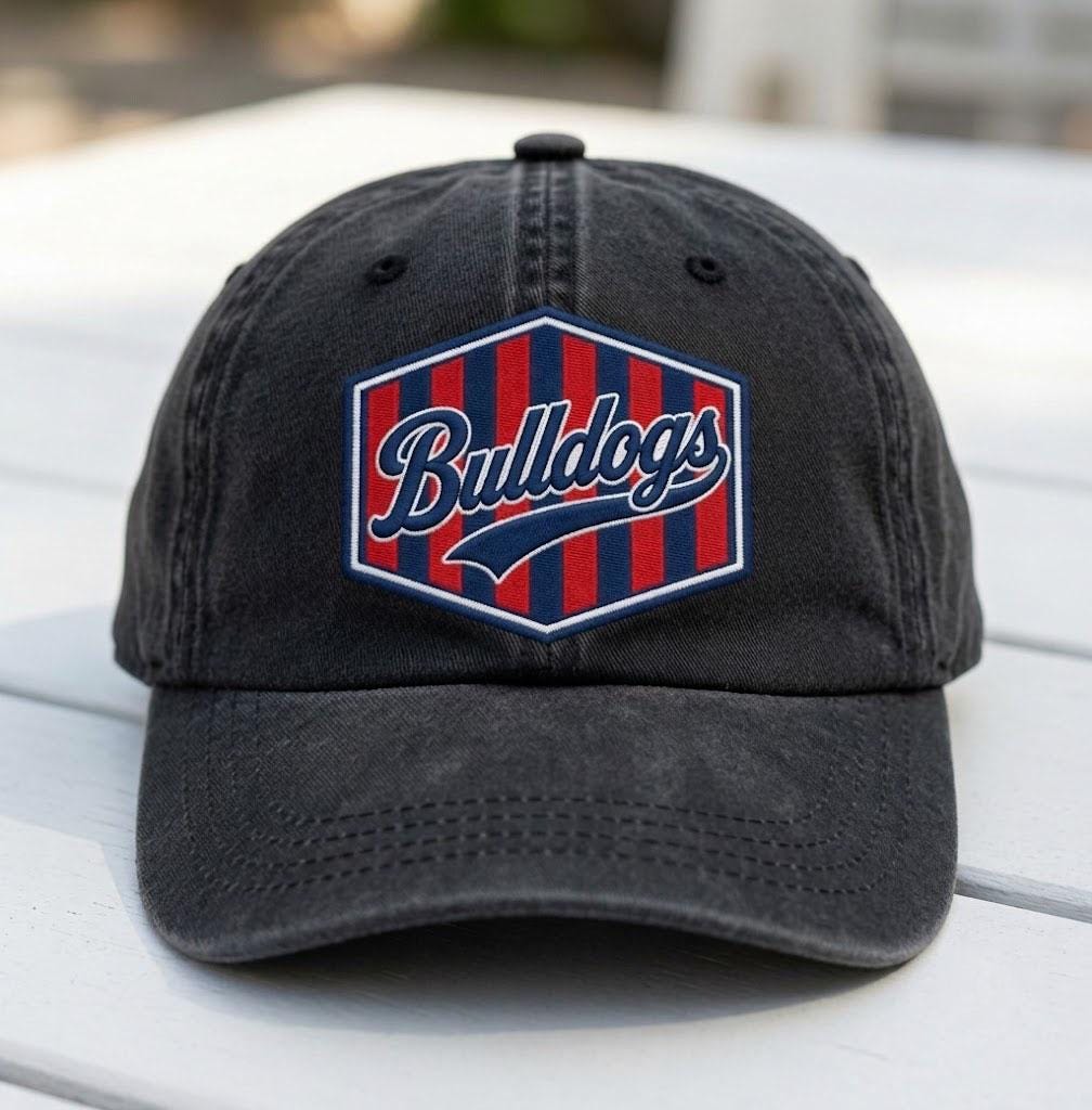 Custom Team Mascot Hat, Personalized Sports Patch Cap, Vintage Washed Dad Hat, Custom School Spirit Gift, Game Day Accessory, Team Name Cap