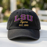 Custom College Hat, Embroidered University Cap, Personalized Sports Team Hat, Vintage Collegiate Dad Hat, Game Day Apparel, Custom Mascot