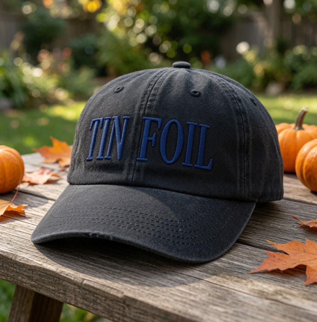Tin Foil Embroidered Hat, Funny Tin Foil Hat Meme Baseball Cap, Conspiracy Theory Vintage Washed Cotton Dad Hat, Sarcastic Humor Gift