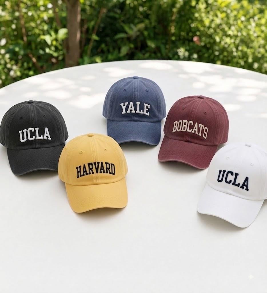 Custom Varsity Letter Embroidered Hat, University Mascot Baseball Cap, Collegiate Style Headwear, School Spirit Gift For Students
