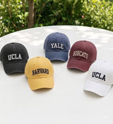Custom Varsity Letter Embroidered Hat, University Mascot Baseball Cap, Collegiate Style Headwear, School Spirit Gift For Students