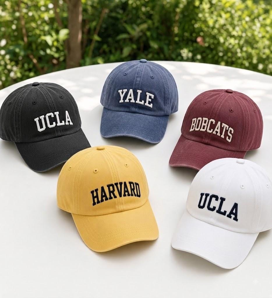 Custom Varsity Letter Embroidered Hat, University Mascot Baseball Cap, Collegiate Style Headwear, School Spirit Gift For Students