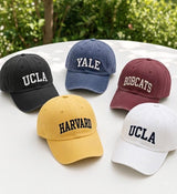 Custom Varsity Letter Embroidered Hat, University Mascot Baseball Cap, Collegiate Style Headwear, School Spirit Gift For Students