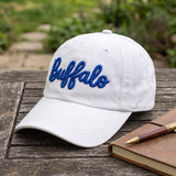 Custom Puff Embroidered Team Hat, 3D Script Mascot Dad Hat, Personalized Game Day Baseball Cap, Distressed Vintage School Spirit Gift