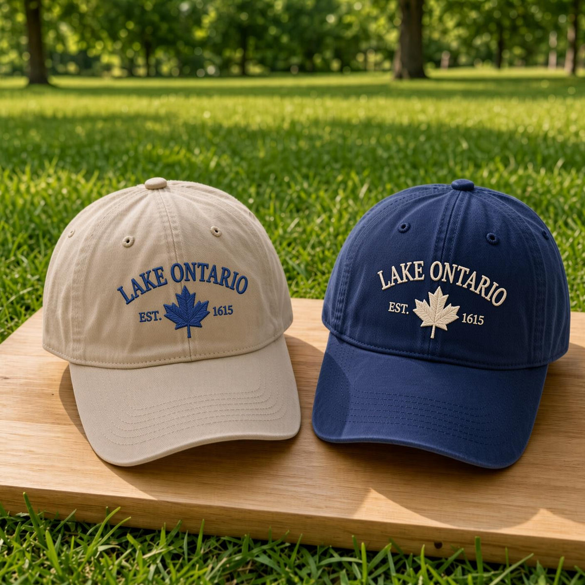 Lake Ontario Embroidered Hat, Vintage Great Lakes Baseball Cap, Canadian Cottage Gift