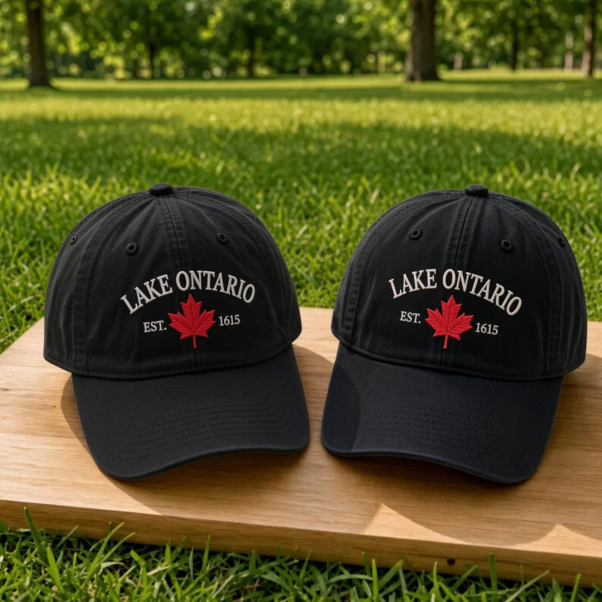 Lake Ontario Embroidered Hat, Vintage Great Lakes Baseball Cap, Canadian Cottage Gift