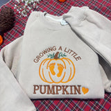 Growing A Little Pumpkin Embroidered Sweatshirt, Custom Name Pregnancy Reveal Crewneck