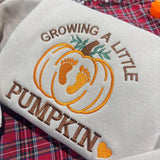 Growing A Little Pumpkin Embroidered Sweatshirt, Custom Name Pregnancy Reveal Crewneck