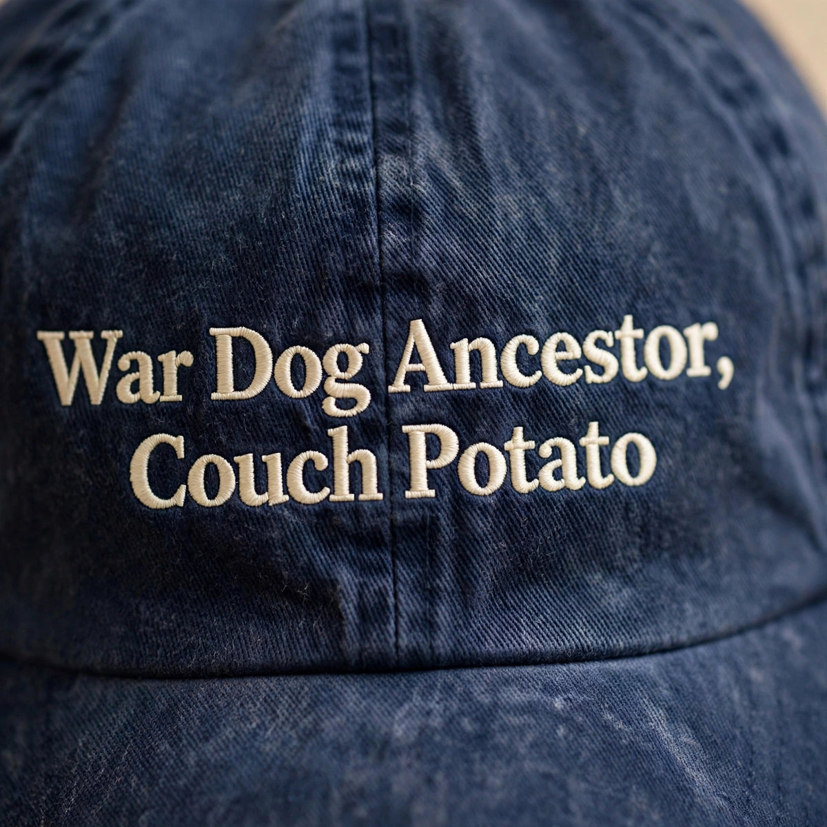 Funny Gift for Alaunt Owners, War Dog Ancestor Couch Potato Embroidered Cap