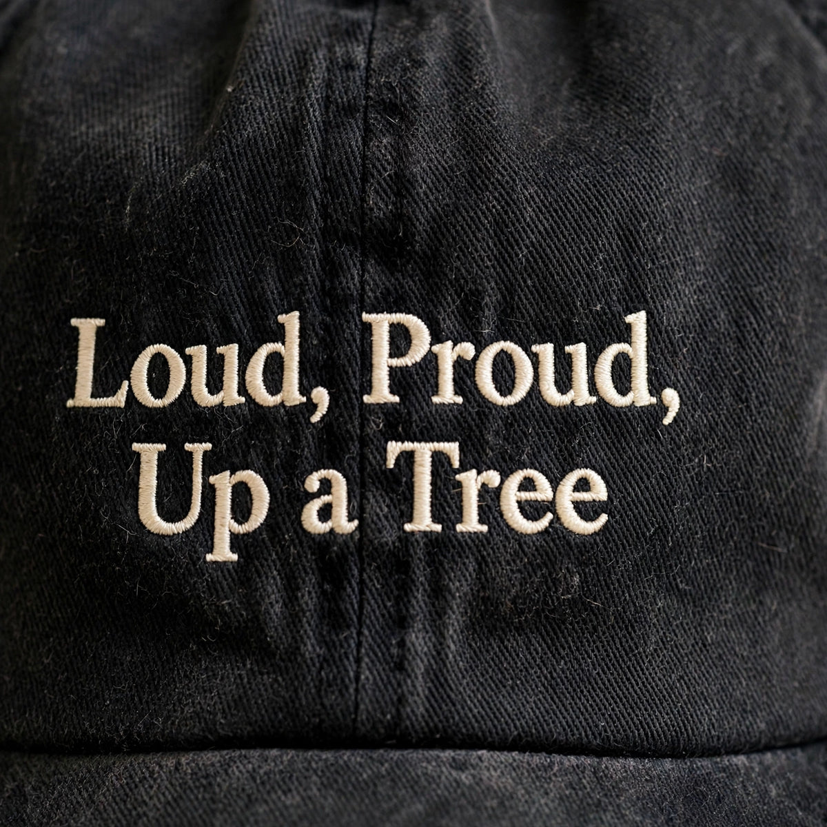 Funny Gift for American English Coonhound Owners, Loud Proud Up a Tree Embroidered Cap