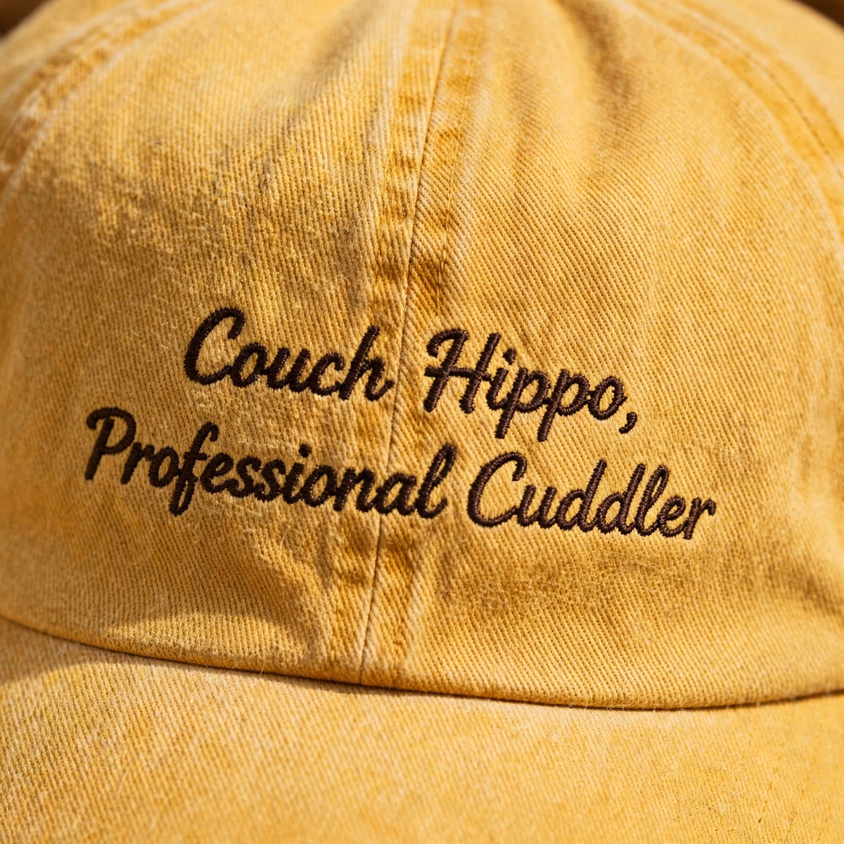 Funny Gift for American Pit Bull Terrier Owners, Couch Hippo Professional Cuddler Embroidered Cap