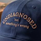 Funny Undiagnosed Embroidered Hat, Chronic Illness Cap, Sarcastic Embroidery Dad Hat, Spoonie Humor Gift